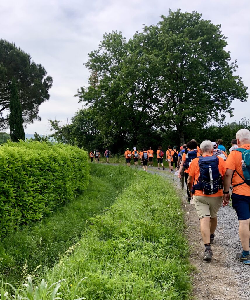 Via Francigena Stage 38 Acquapendente to Bolsena – image 20