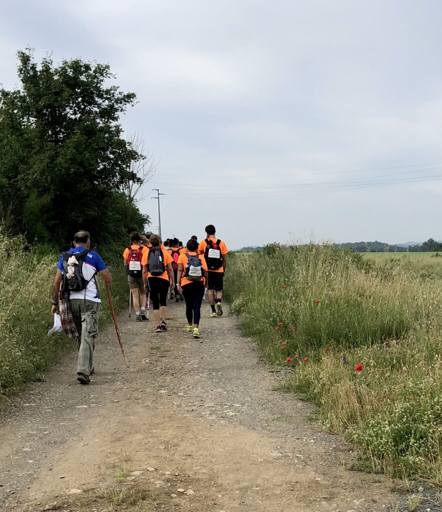 Via Francigena Stage 38 Acquapendente to Bolsena – image 21