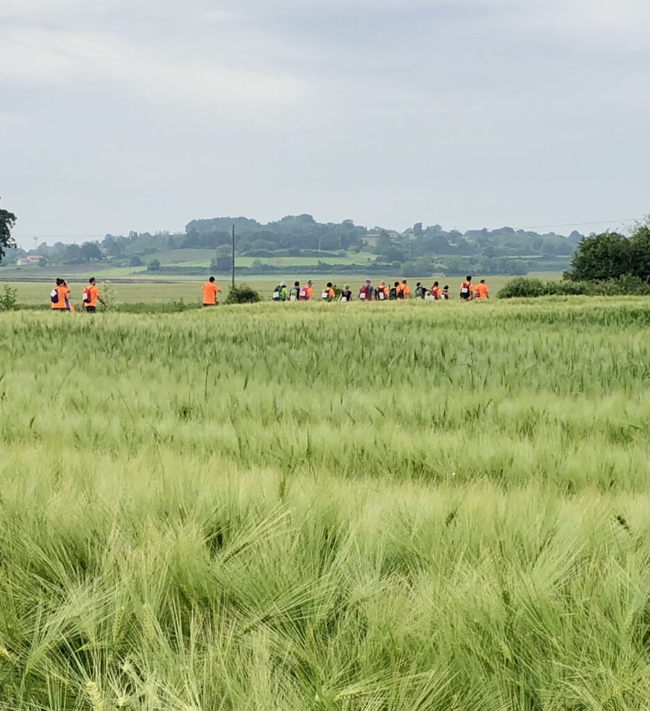 Via Francigena Stage 38 Acquapendente to Bolsena – image 22