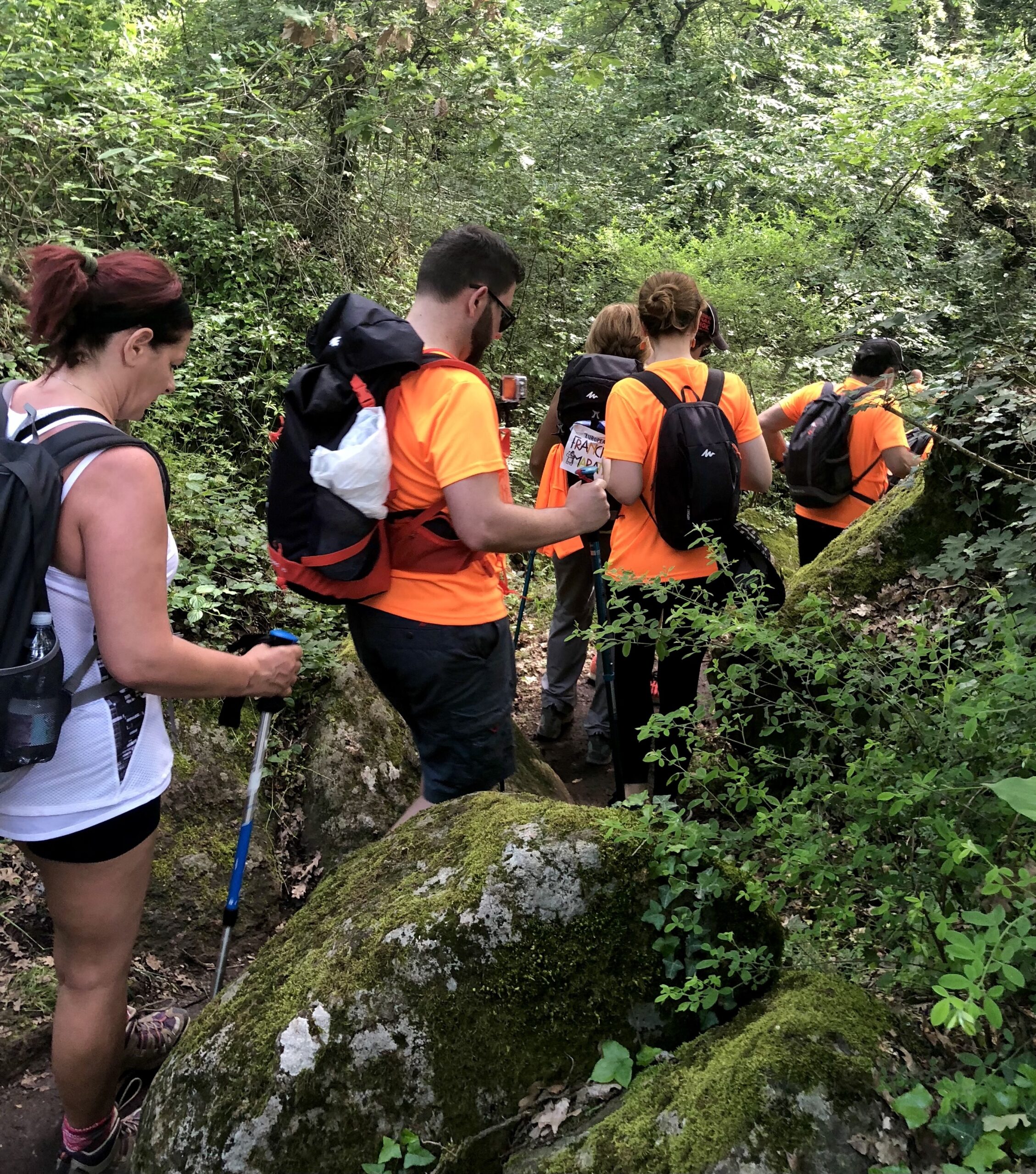 Via Francigena Stage 38 Acquapendente to Bolsena – image 31