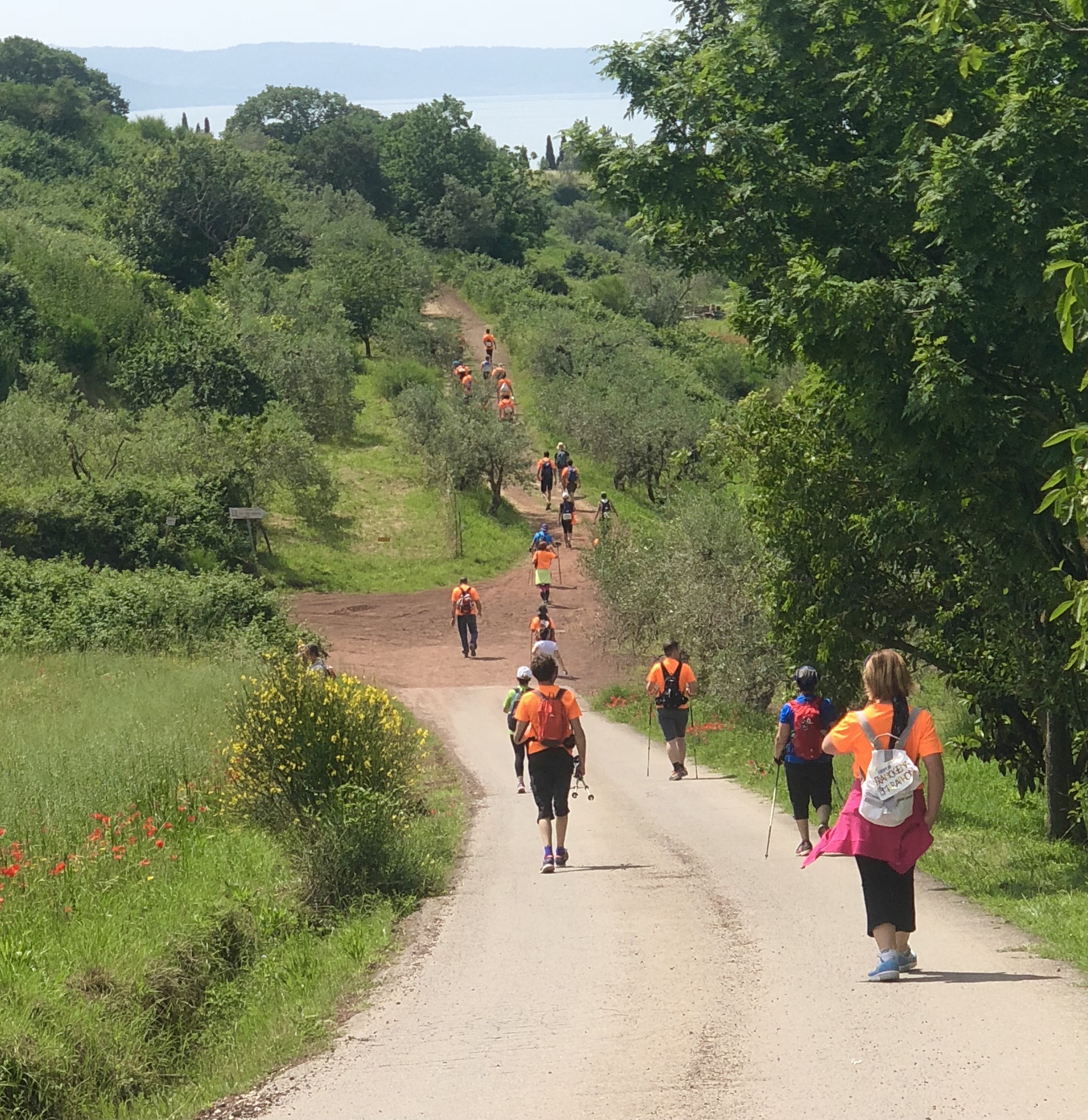 Via Francigena Stage 38 Acquapendente to Bolsena – image 35