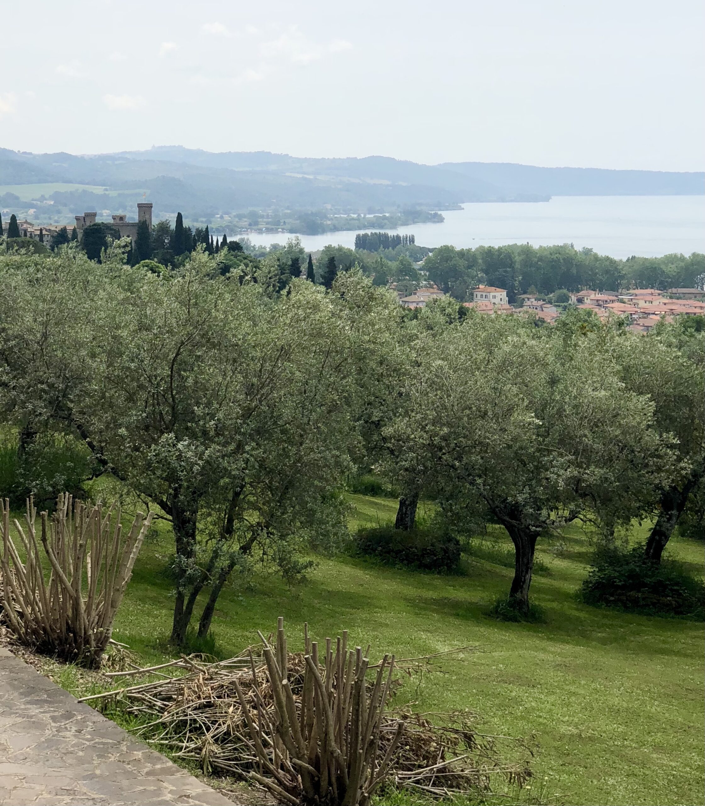 38 Acquapendente to Bolsena
