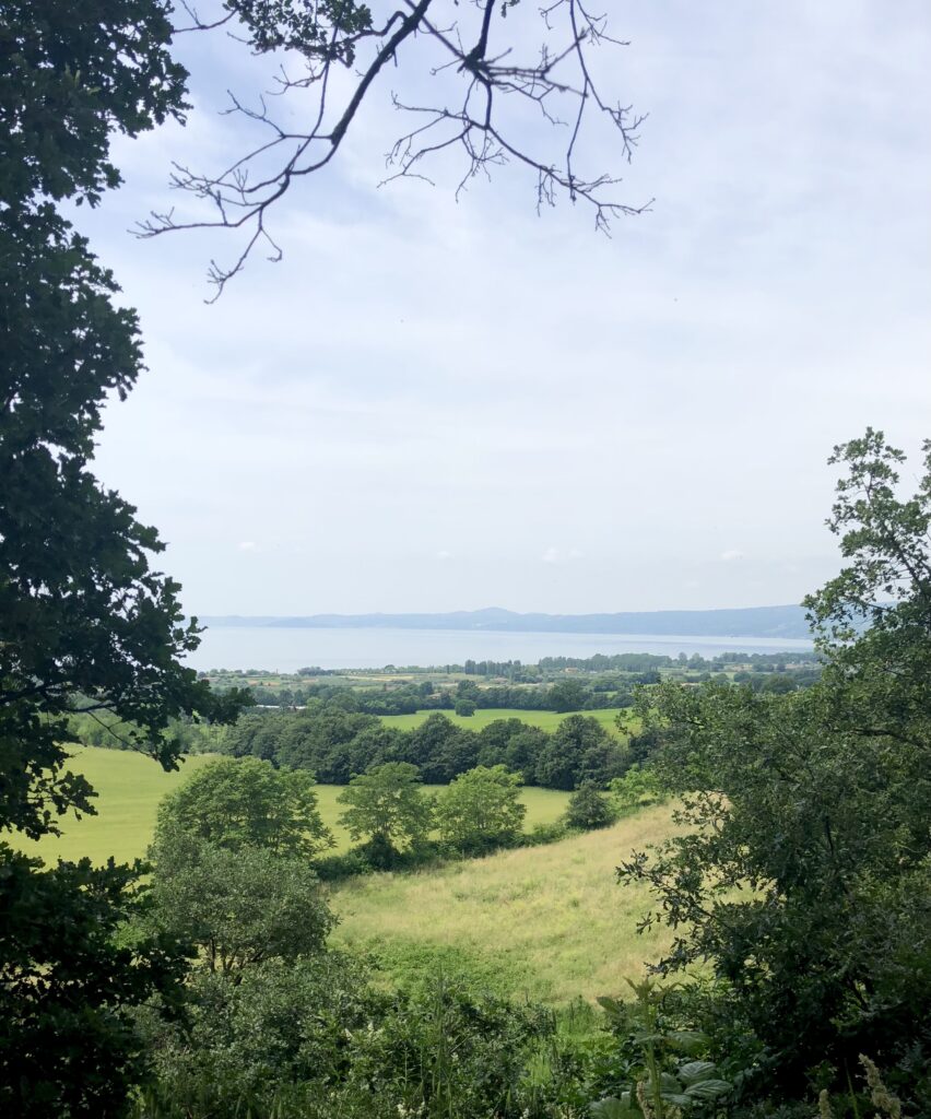 38 Acquapendente to Bolsena