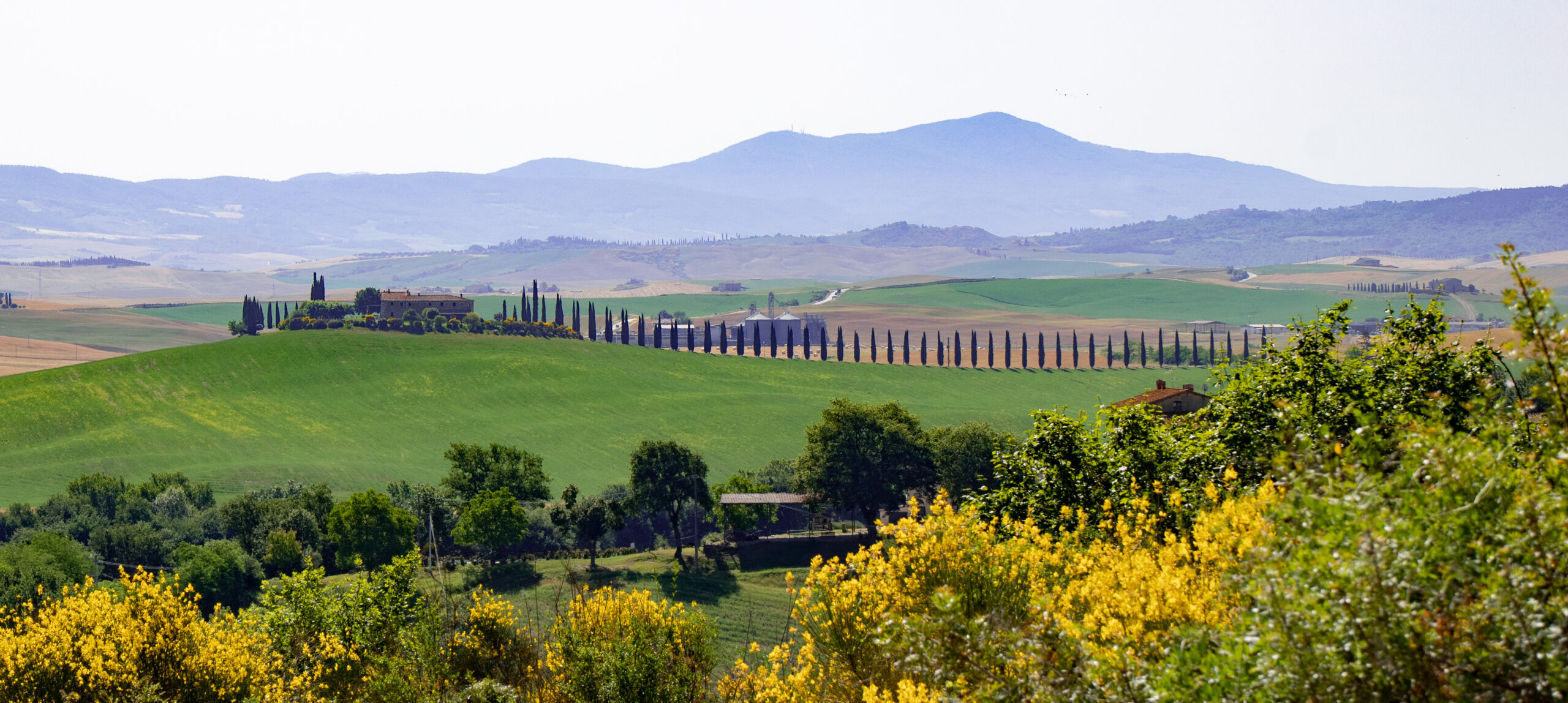 Via Francigena and Le Briccole – image 5
