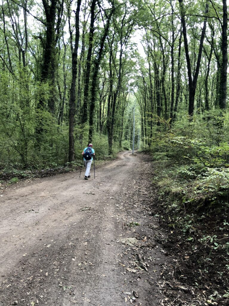 Montefiascone to Rome Via Francigena – image 13