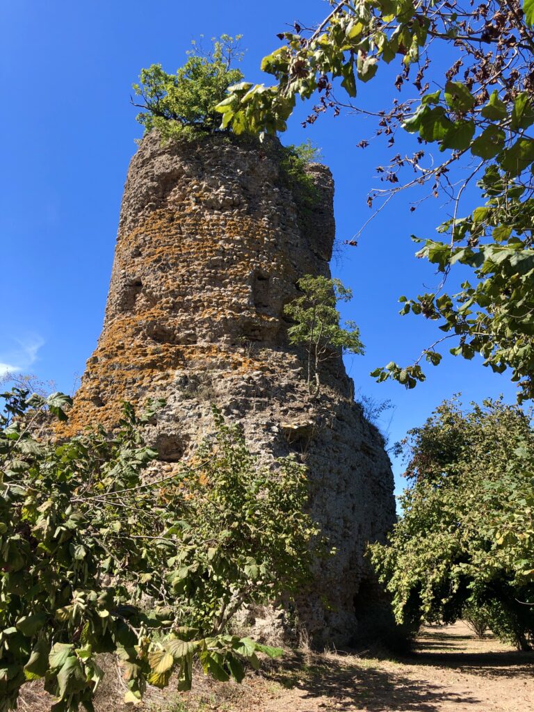 Montefiascone to Rome Via Francigena – image 14