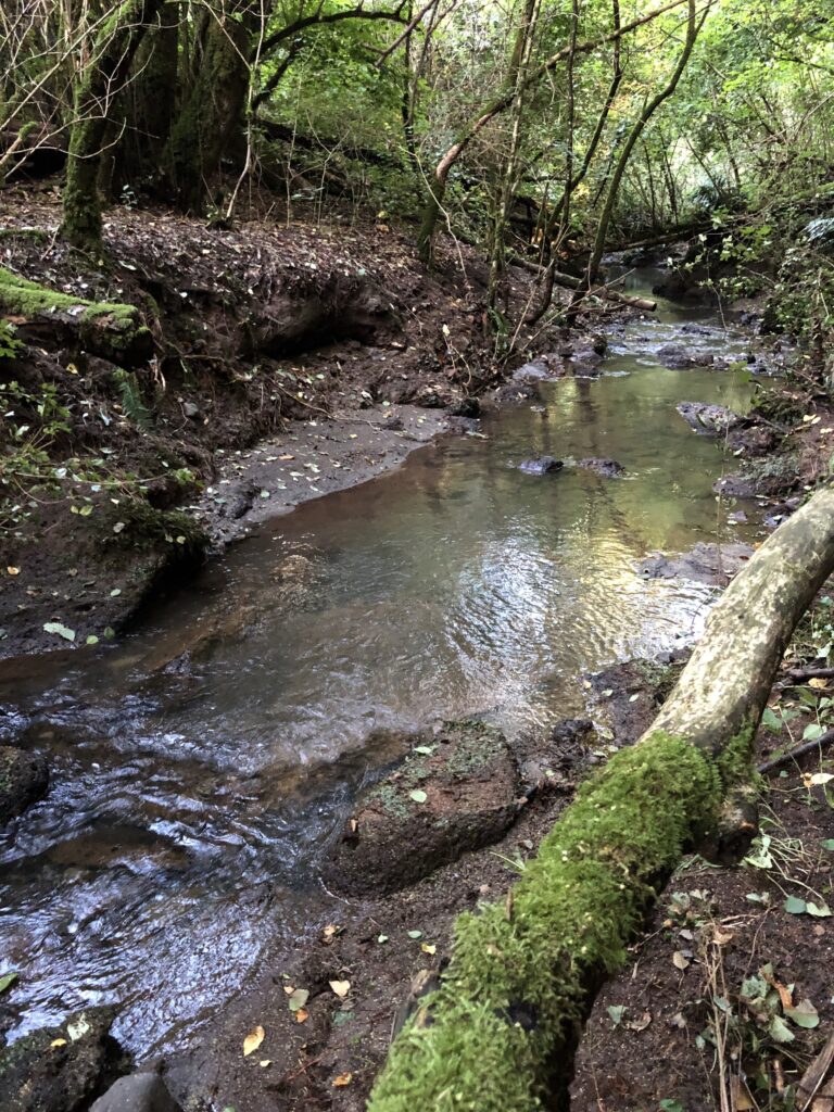 Montefiascone to Rome Via Francigena – image 20