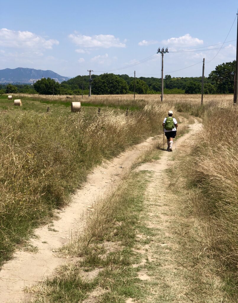Montefiascone to Rome Via Francigena – image 29