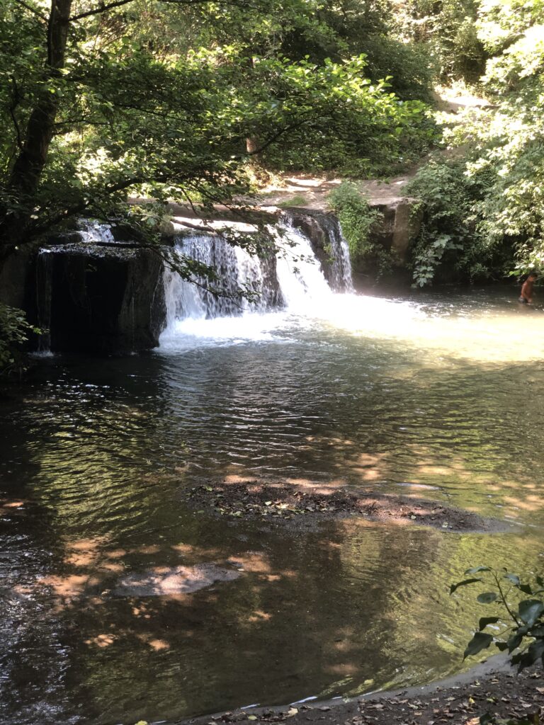 Montefiascone to Rome Via Francigena – image 30