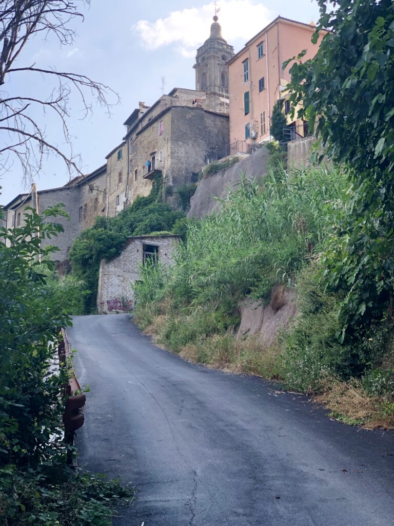 Montefiascone to Rome Via Francigena – image 31