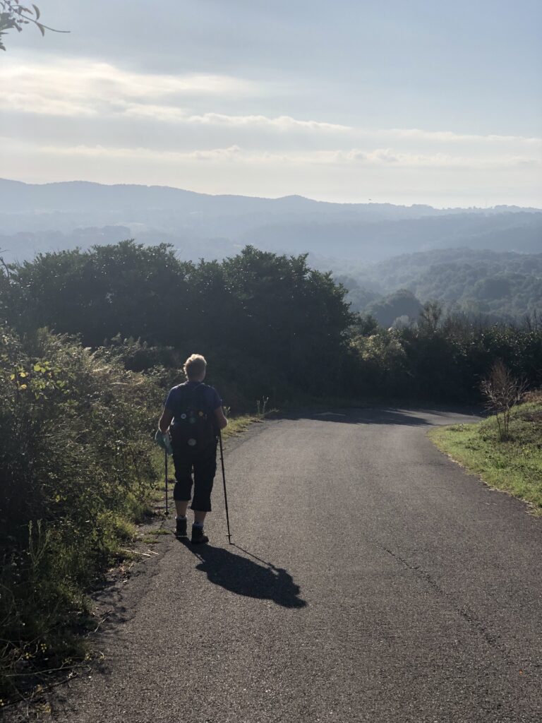 Montefiascone to Rome Via Francigena – image 34