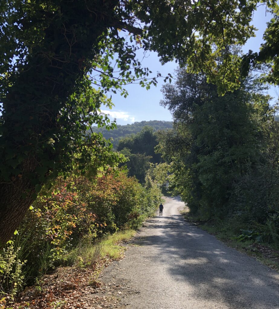 Montefiascone to Rome Via Francigena – image 36