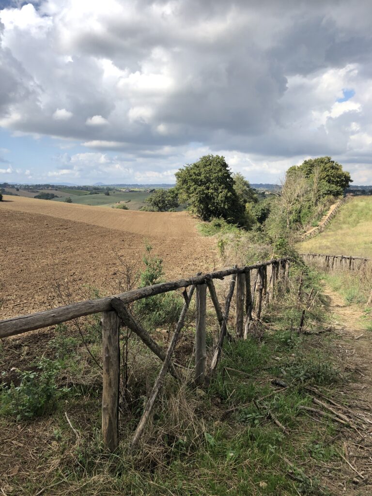 Montefiascone to Rome Via Francigena – image 39