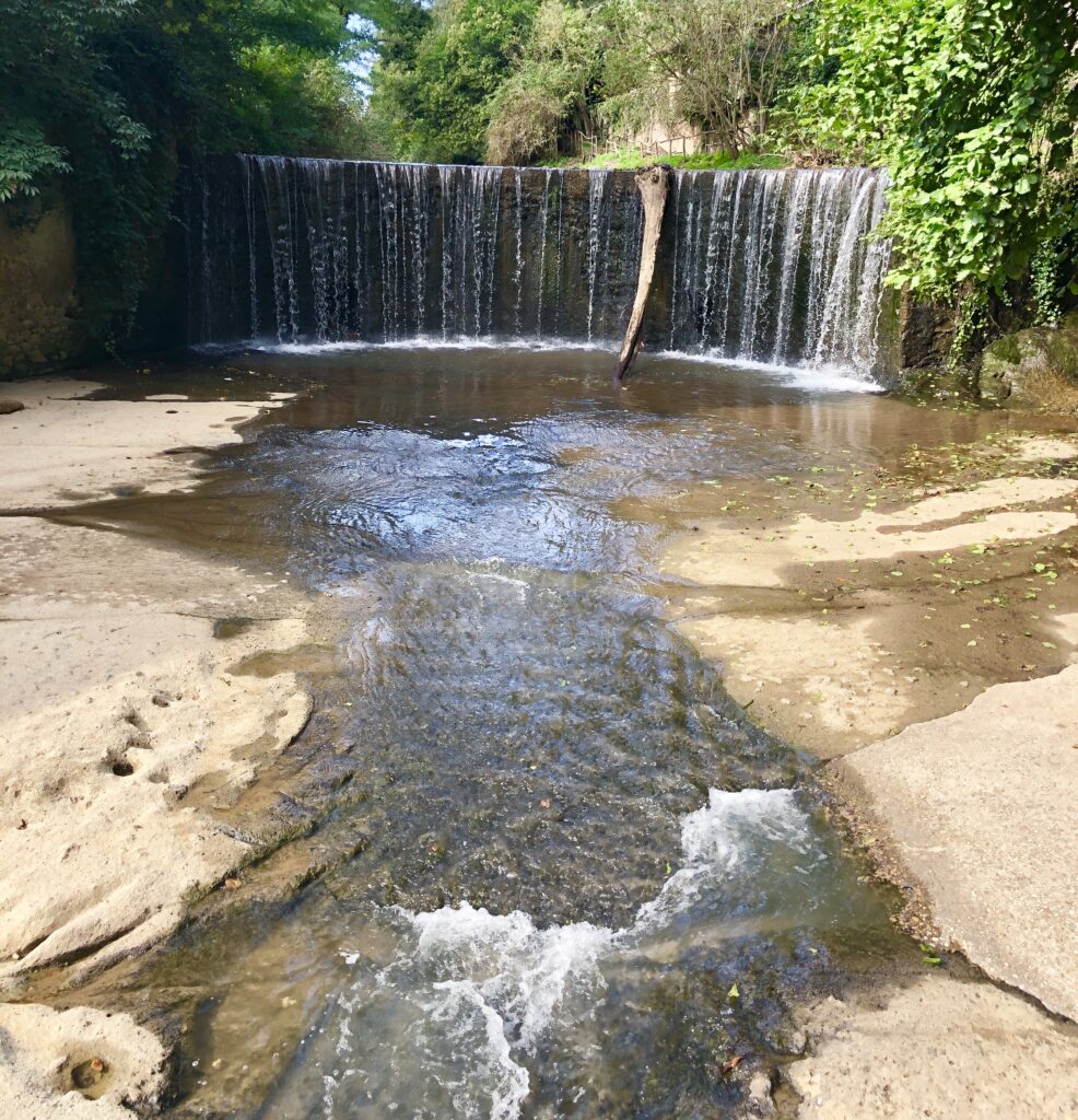 Montefiascone to Rome Via Francigena – image 40