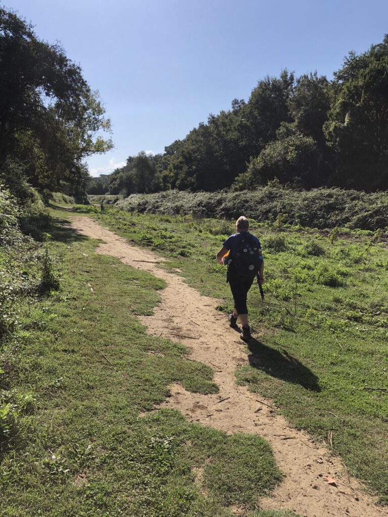 Montefiascone to Rome Via Francigena – image 44