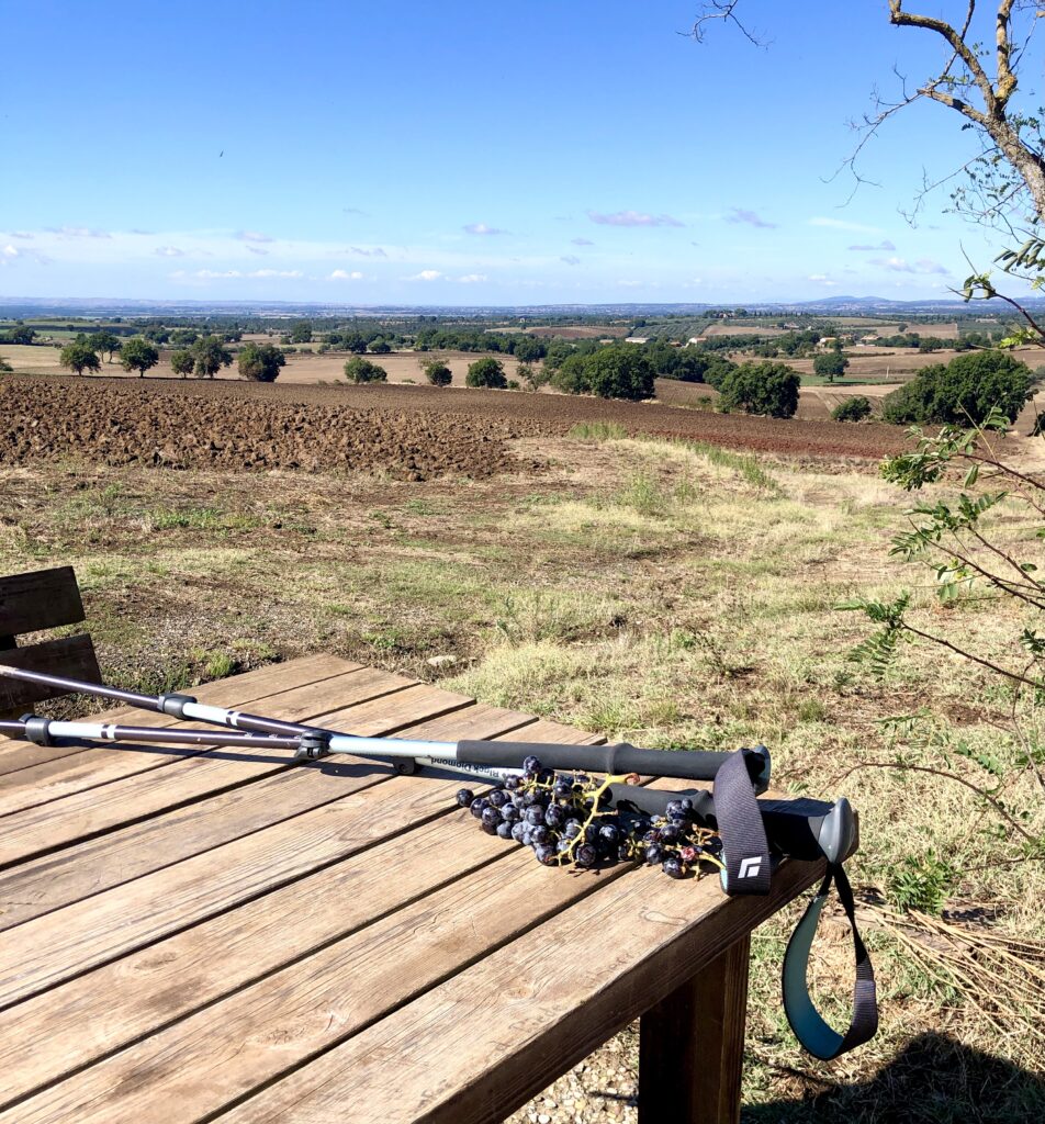 Montefiascone to Rome Via Francigena – image 7