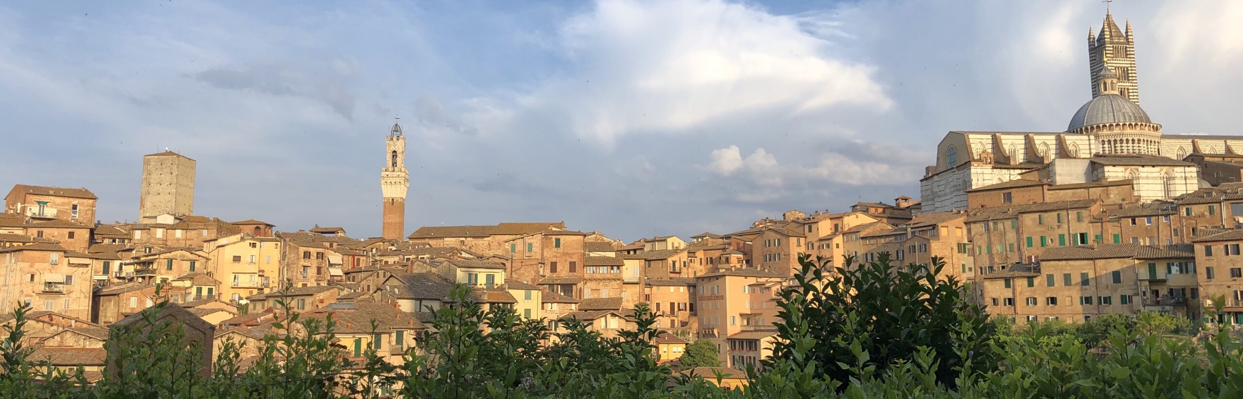 Via Francigena and Siena