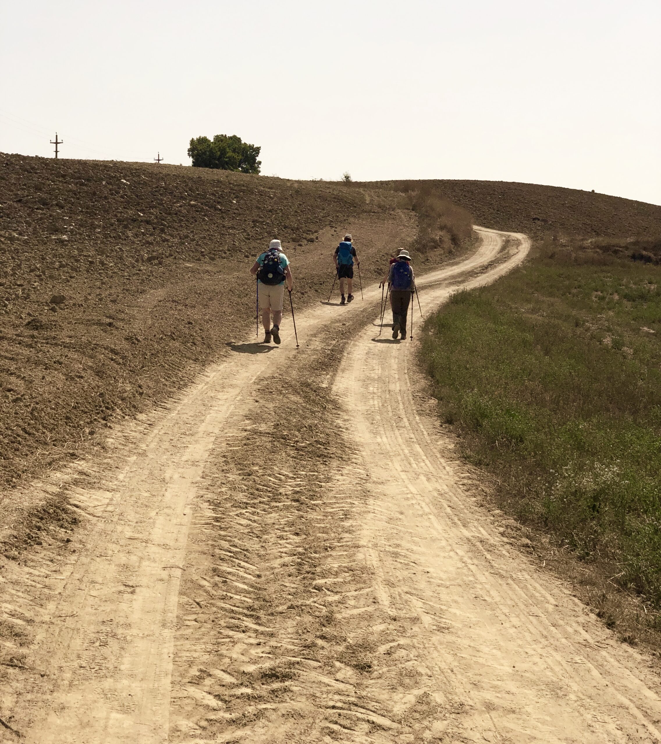 Via Francigena Stage 35