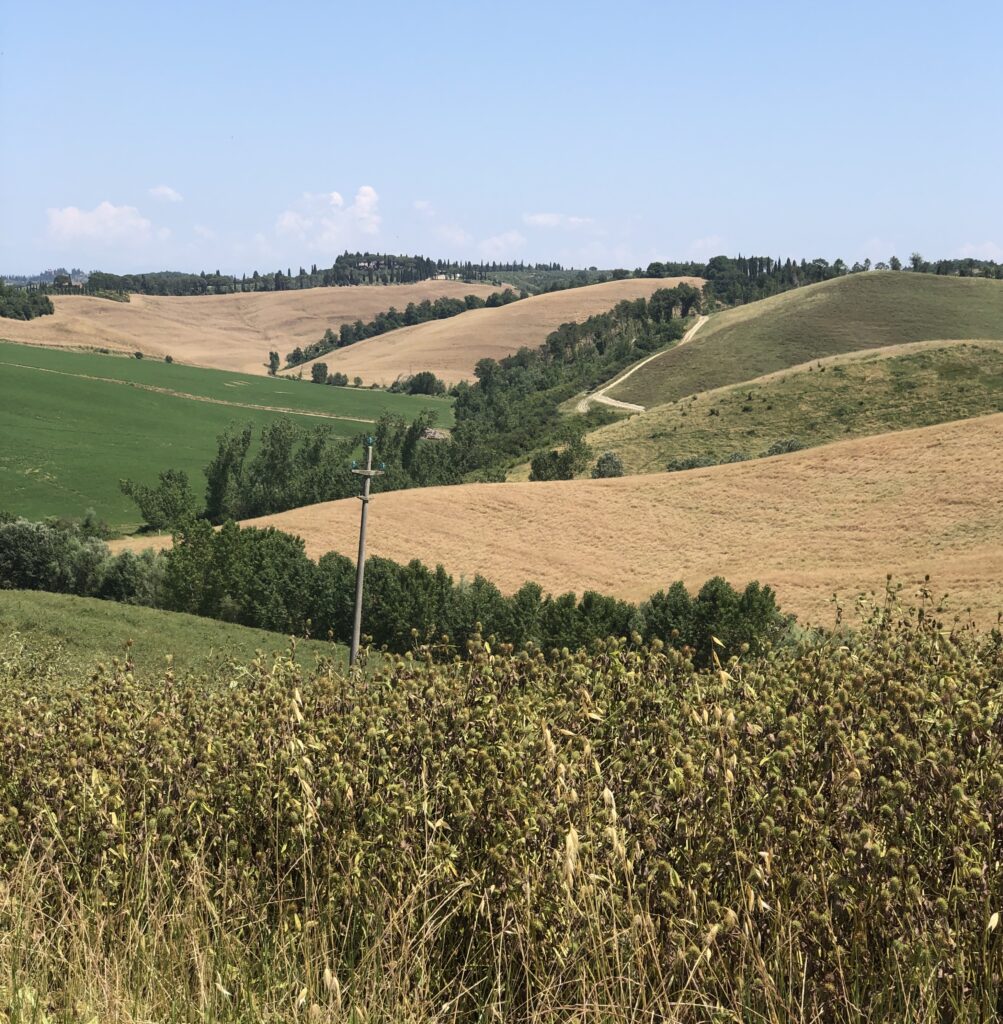 Via Francigena Stage 35