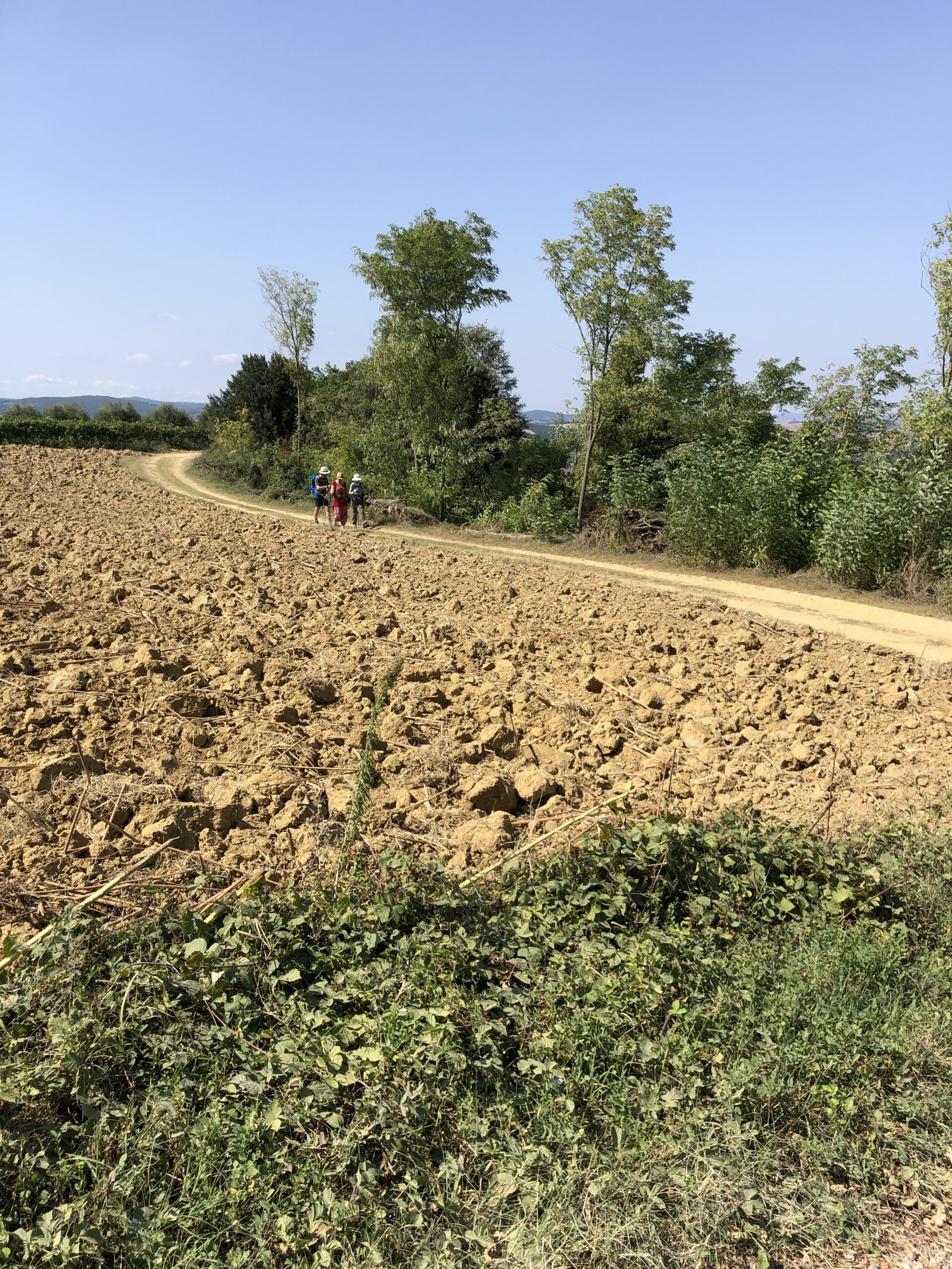 Via Francigena Stage 35