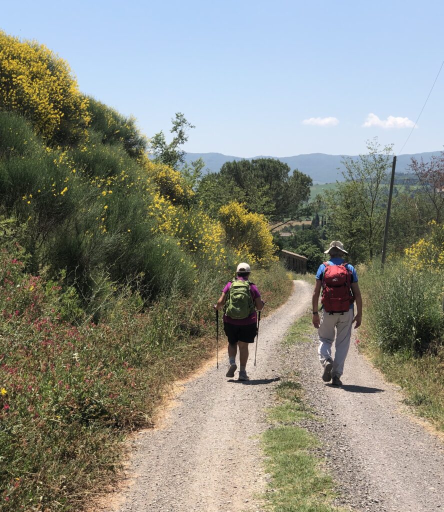 Via Francigena Stage 35