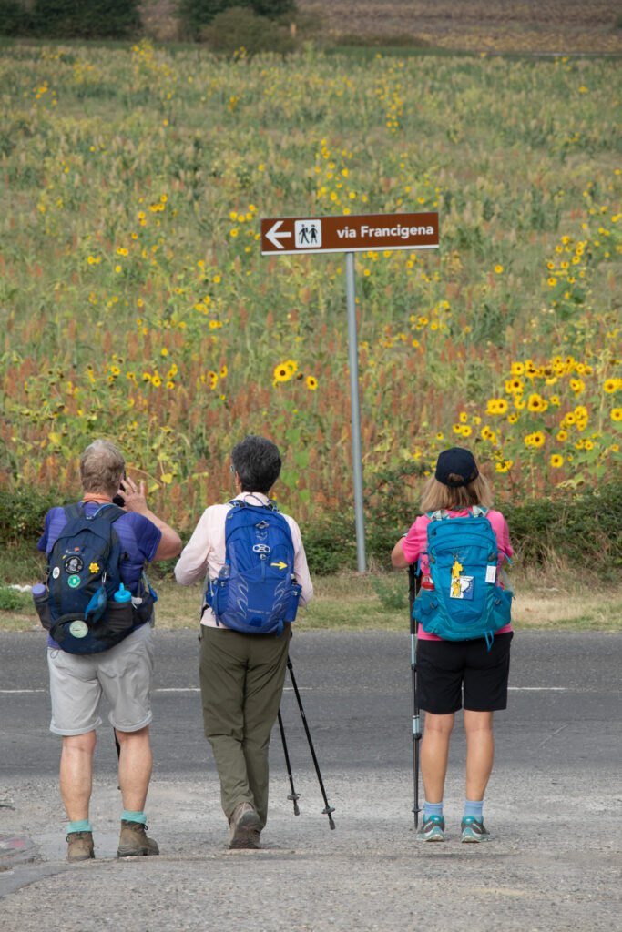 Via Francigena Stage 35 from Ponte d’Arbia – image 27