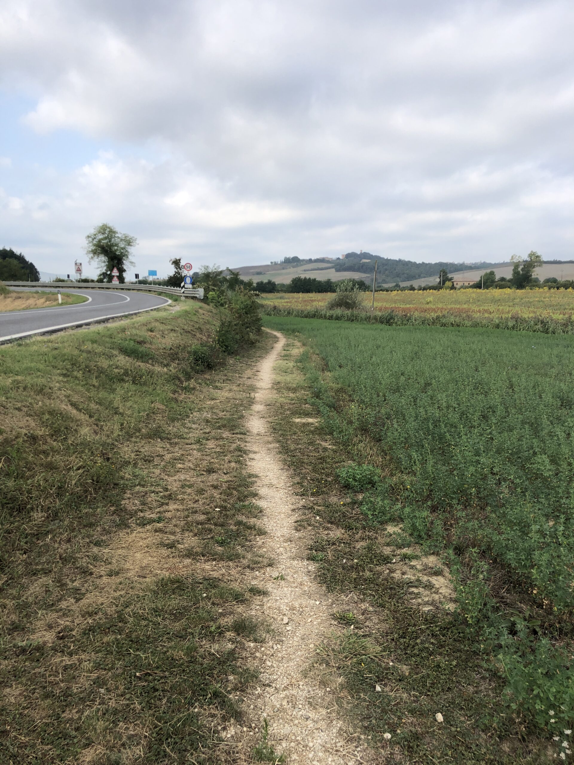 Via Francigena Stage 35 from Ponte d’Arbia – image 29