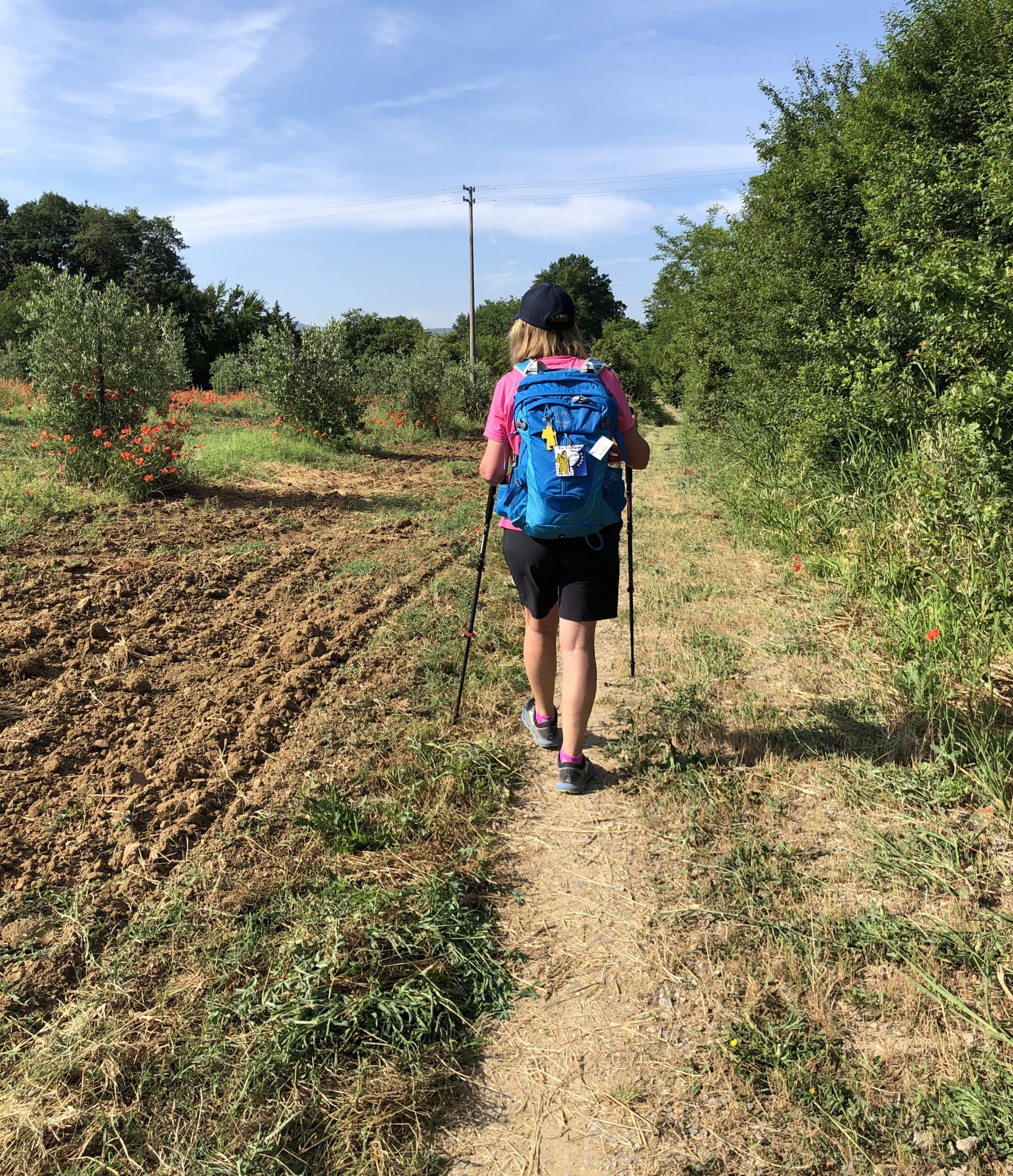 Via Francigena Stage 35