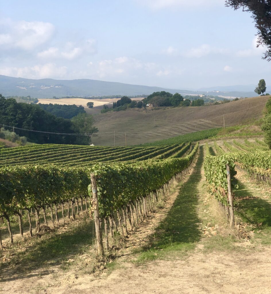 Montalcino