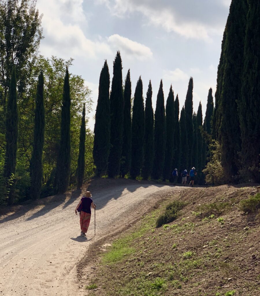 Montalcino