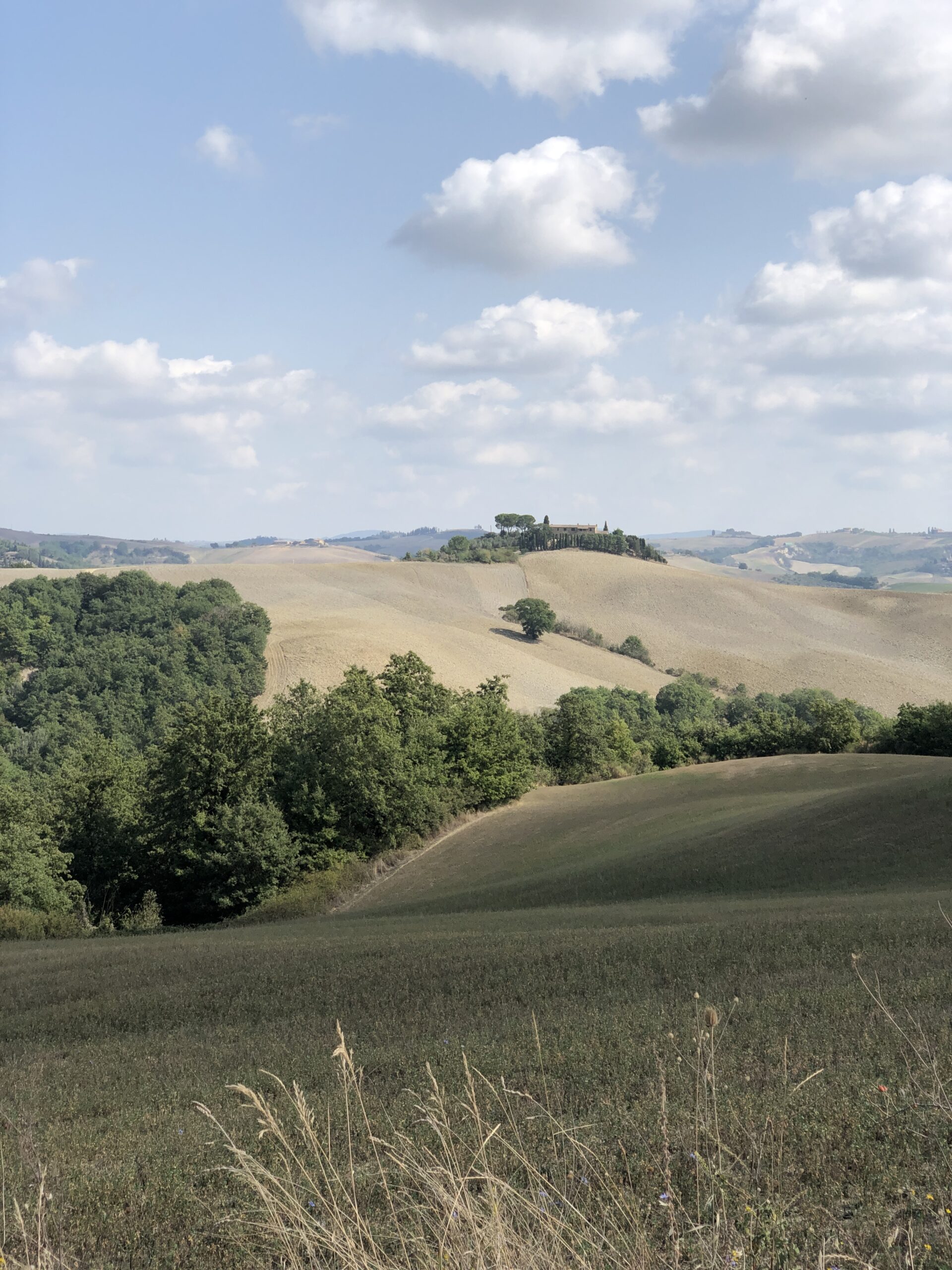 Montalcino