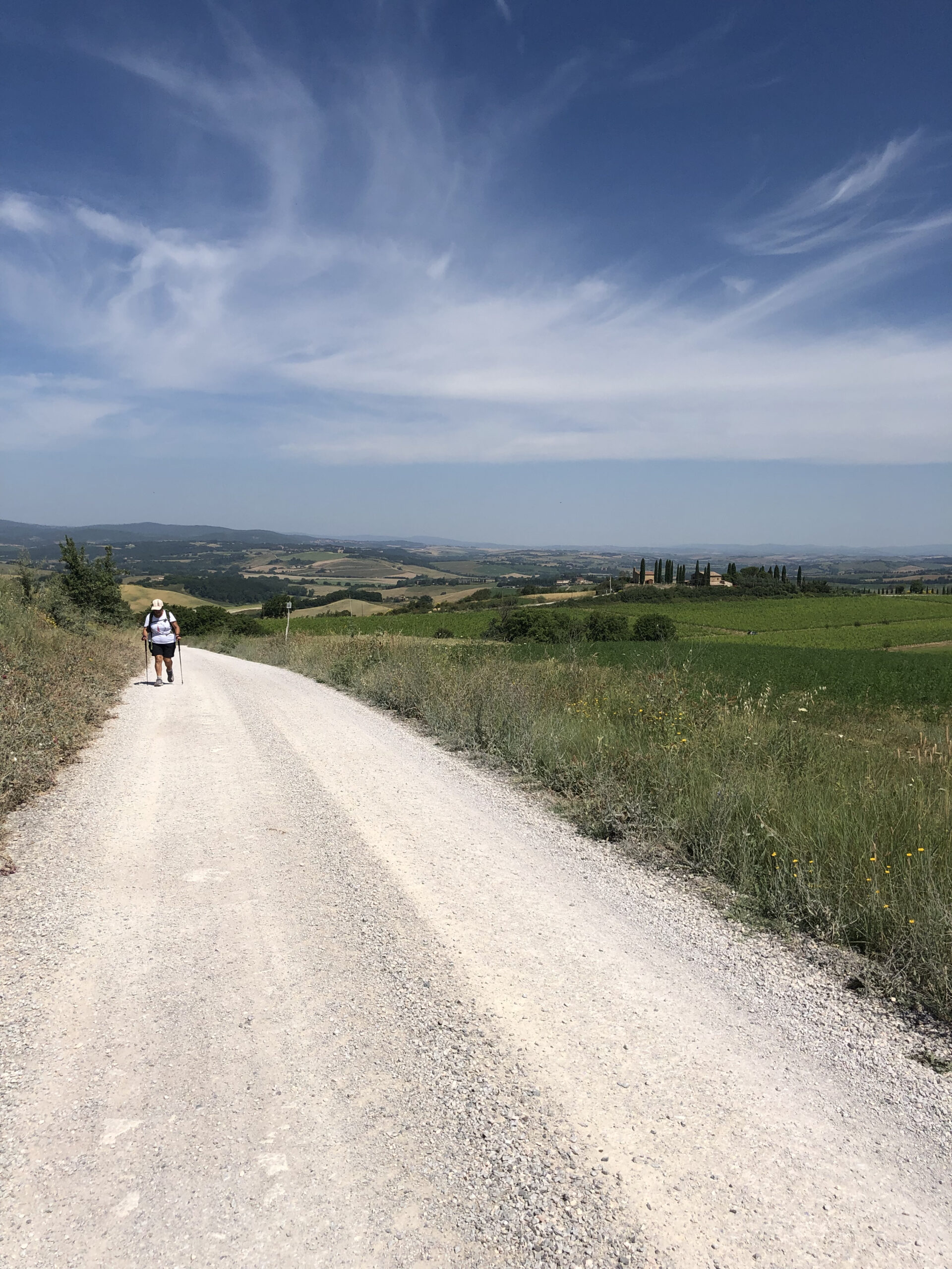 Montalcino