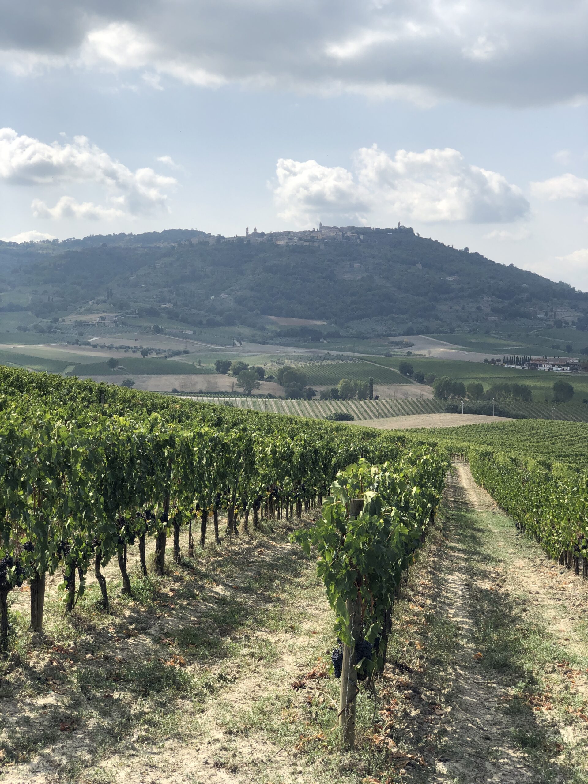 Montalcino