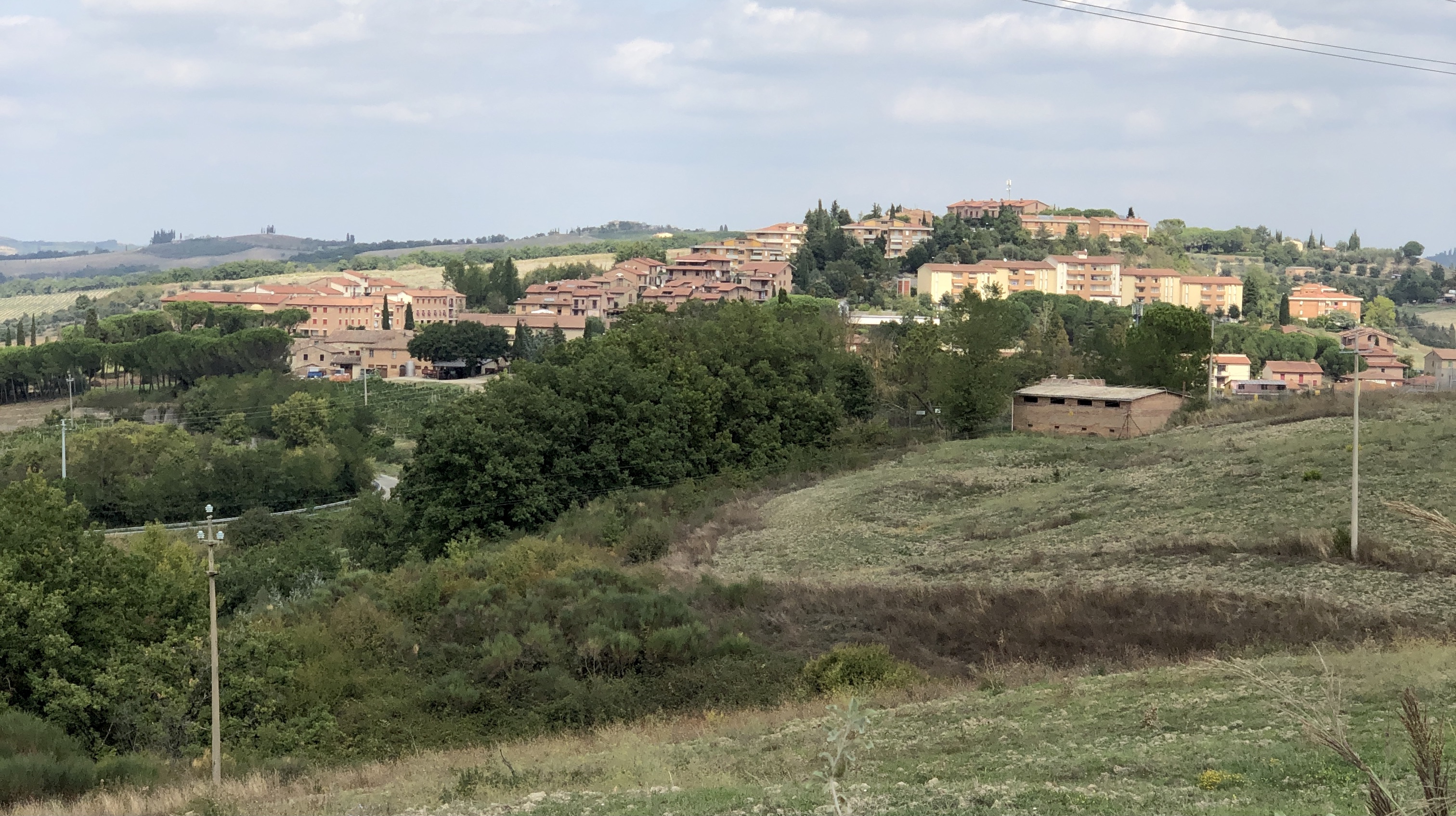Torrenieri