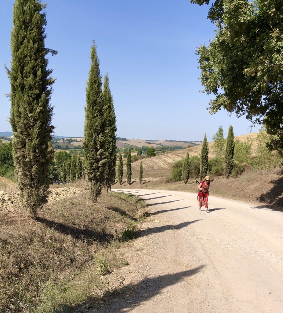 Via Francijgena Stage 35