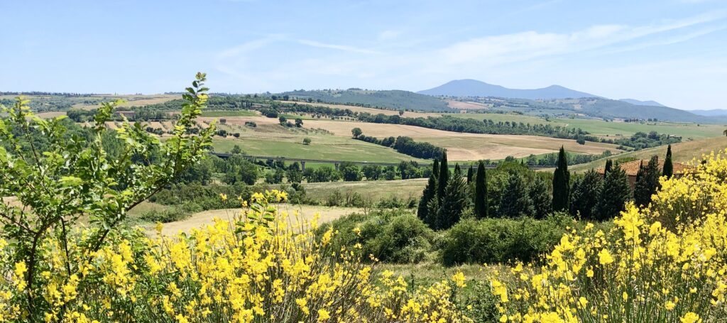Via Francigena Stage 35