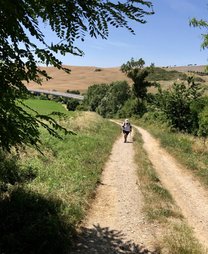 Via Francigena Stage 35