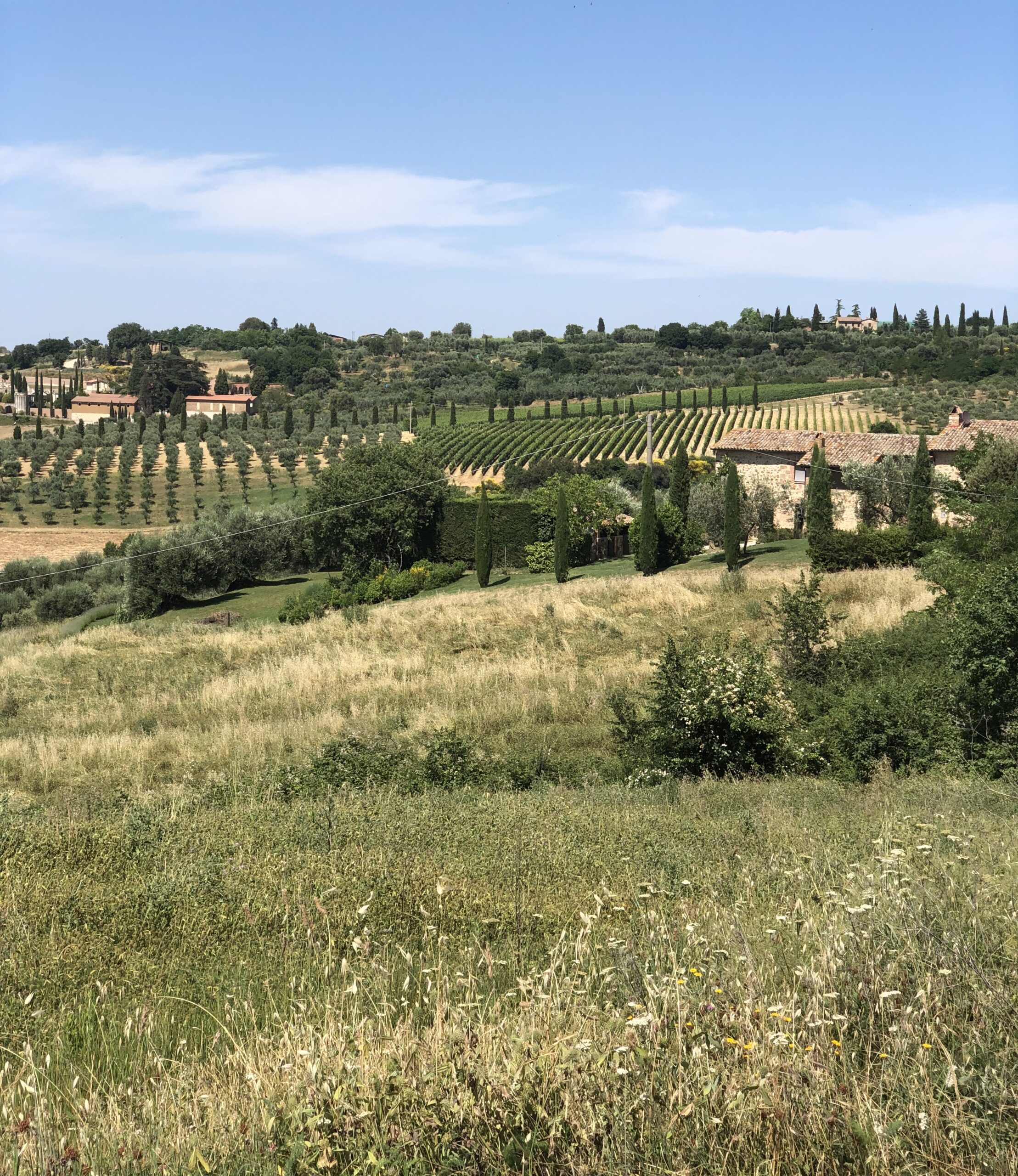 San Quirico d'Orcia