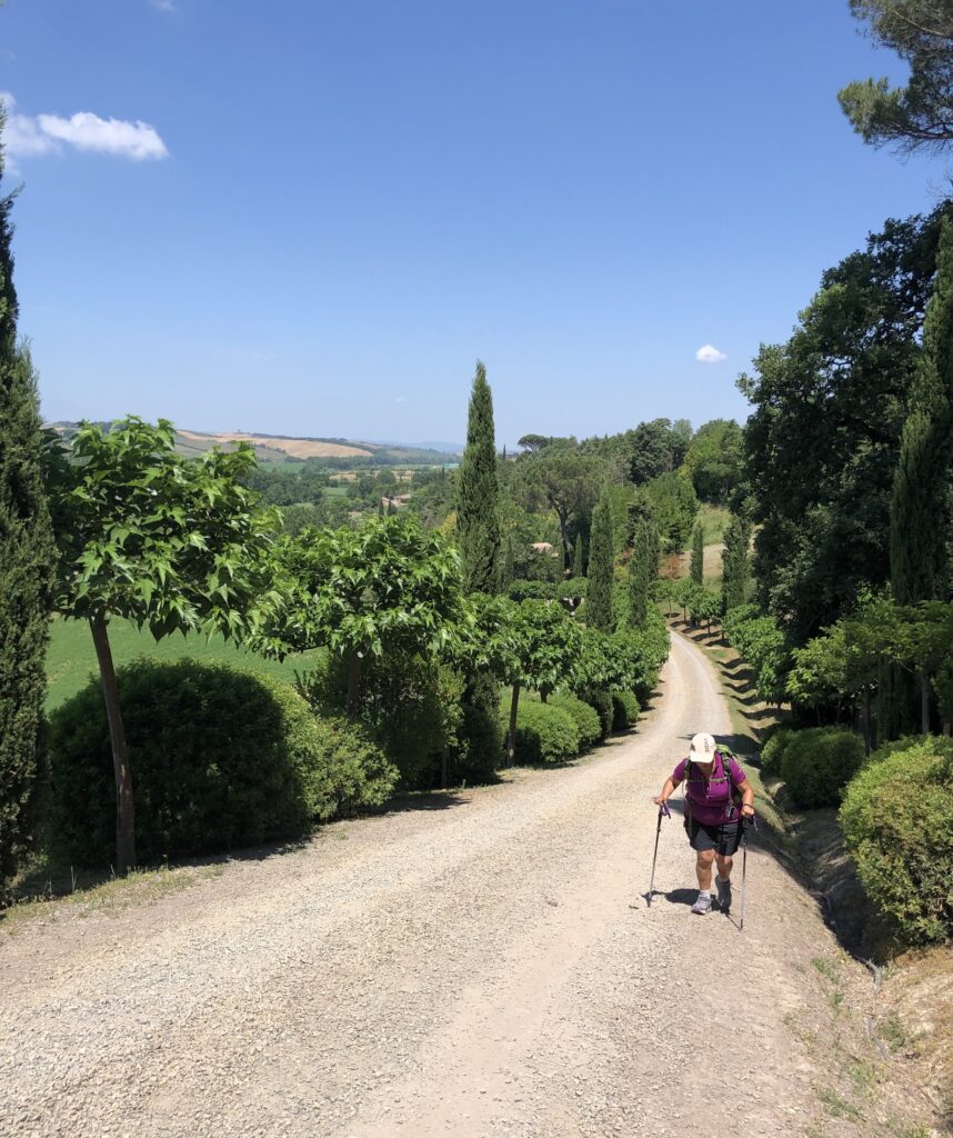 Ponte d'Arbia to Buonconvento
